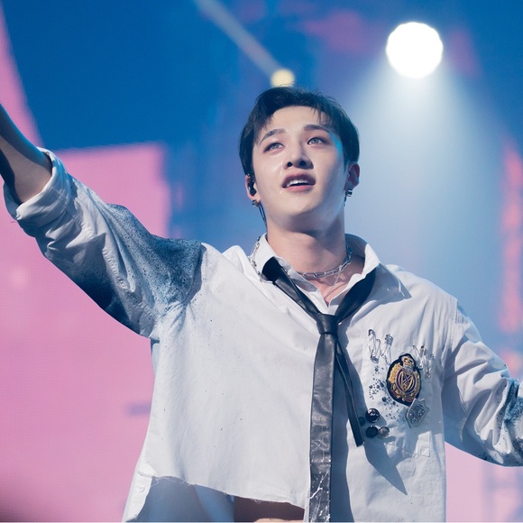 Meet your Posher, Scar - Picture 5 of 17